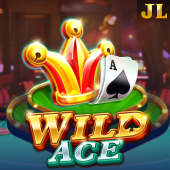 Wild Ace on Arion Pay